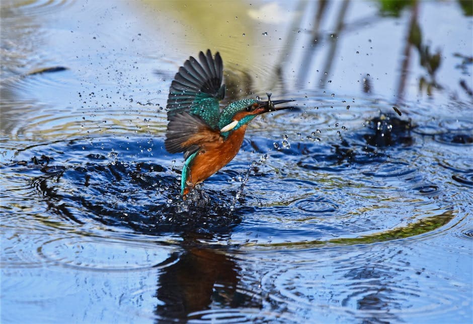 Scotland's New Fishing Rules: Protecting Marine Life and Supporting Sustainability