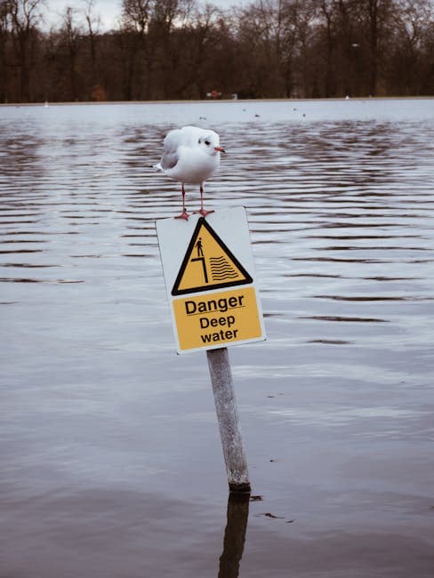 Welsh Government Updates Planning Regulations to Address Flood Risks