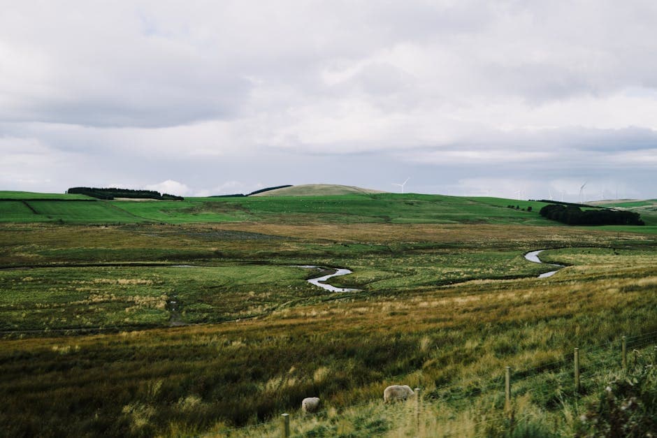Unlocking the North Lincolnshire Green Energy Park: A Quick Guide to the 2025 Infrastructure Plan