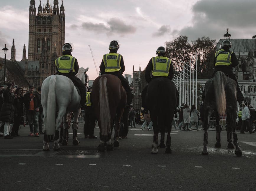 New Police Vetting Rules: What You Need to Know