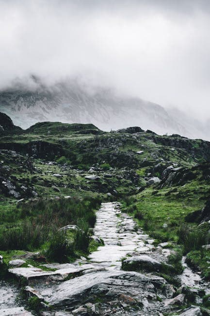 Northern Ireland Takes a Stand on Climate Change with New Commissioner Role