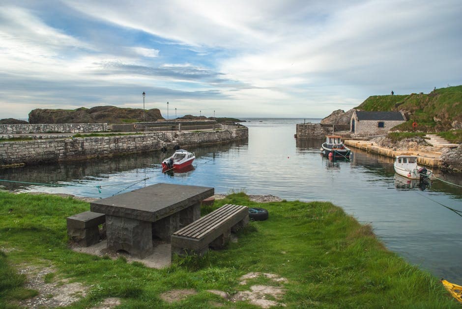 Northern Ireland's Bold Step Towards Climate Accountability: The New Climate Commissioner