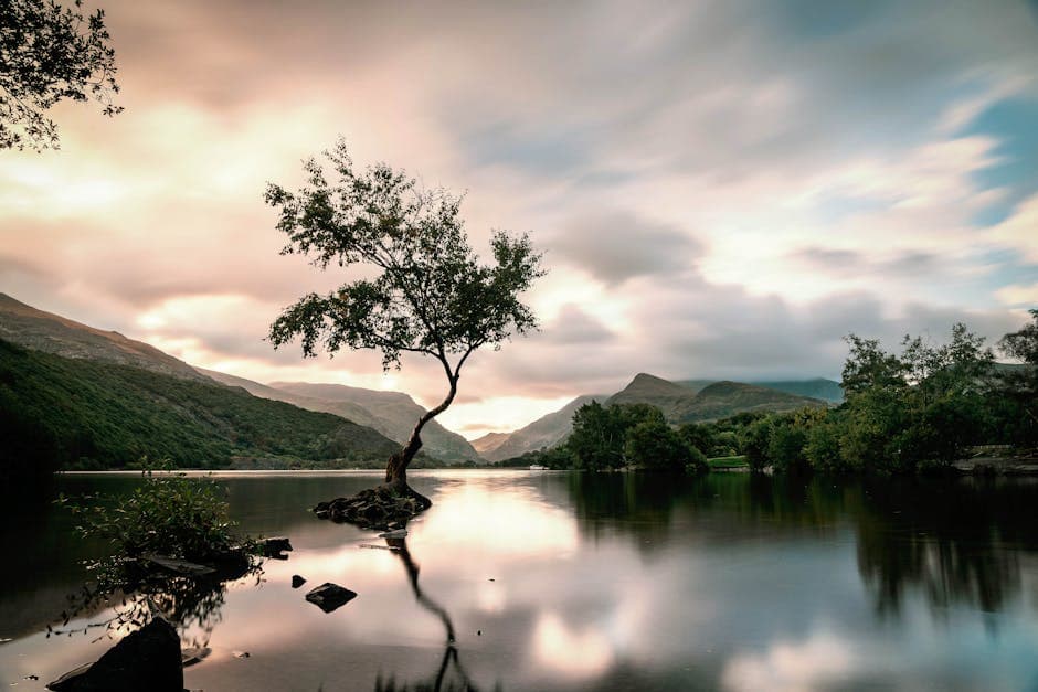 Understanding the Latest Changes to Welsh Renting Legislation