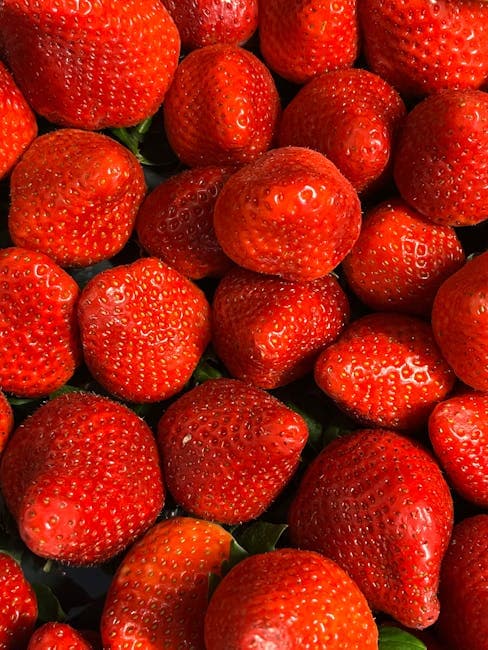 Simplifying the New Rules for Fruit Plant Marketing in England