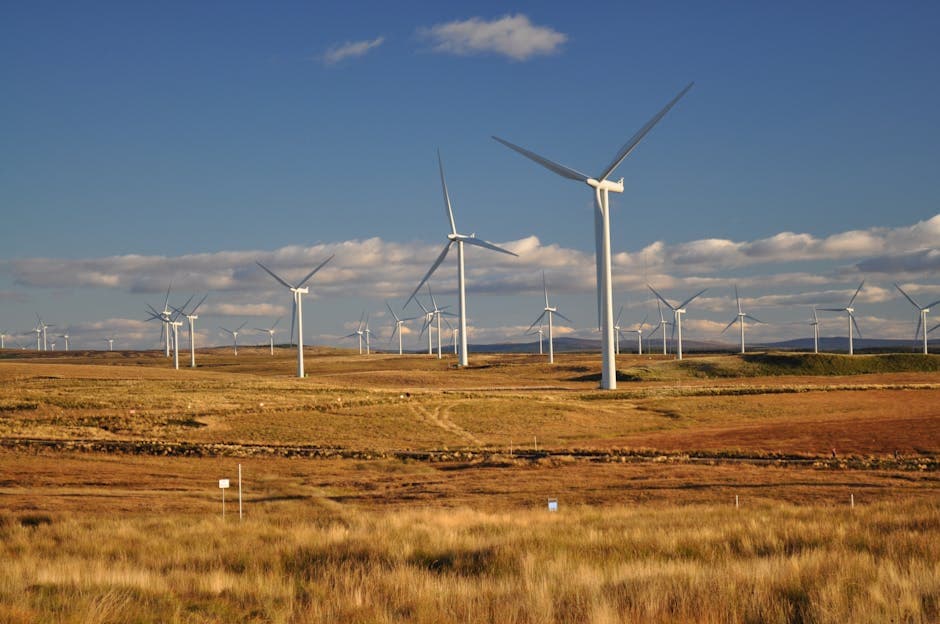 Understanding the 2025 Amendments to the UK's Energy Company Obligation