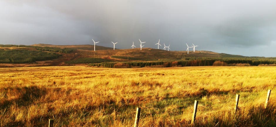 Understanding the Farm Sustainability Transition Regulations in Northern Ireland